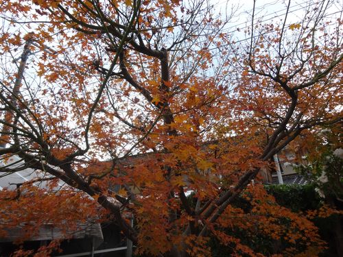 DSC00171
