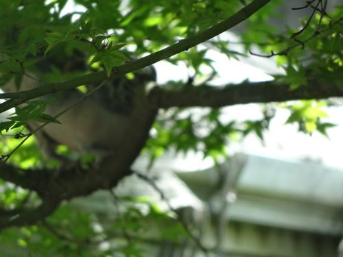 DSC01158 DSC01158
