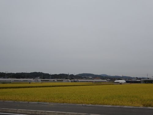 DSC00022