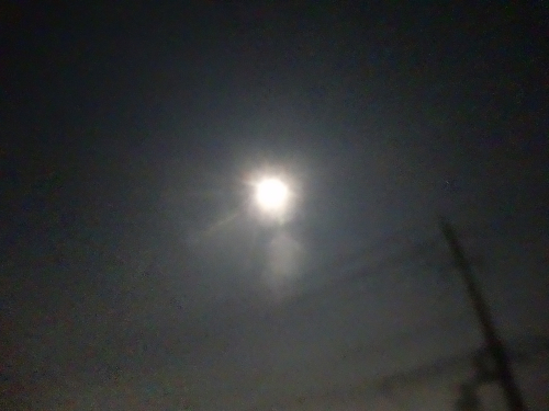 DSC01323